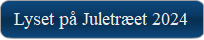 Lyset p Juletret 2024